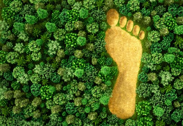 Management Solutions compromete-se a atingir a neutralidade de carbono até 2030